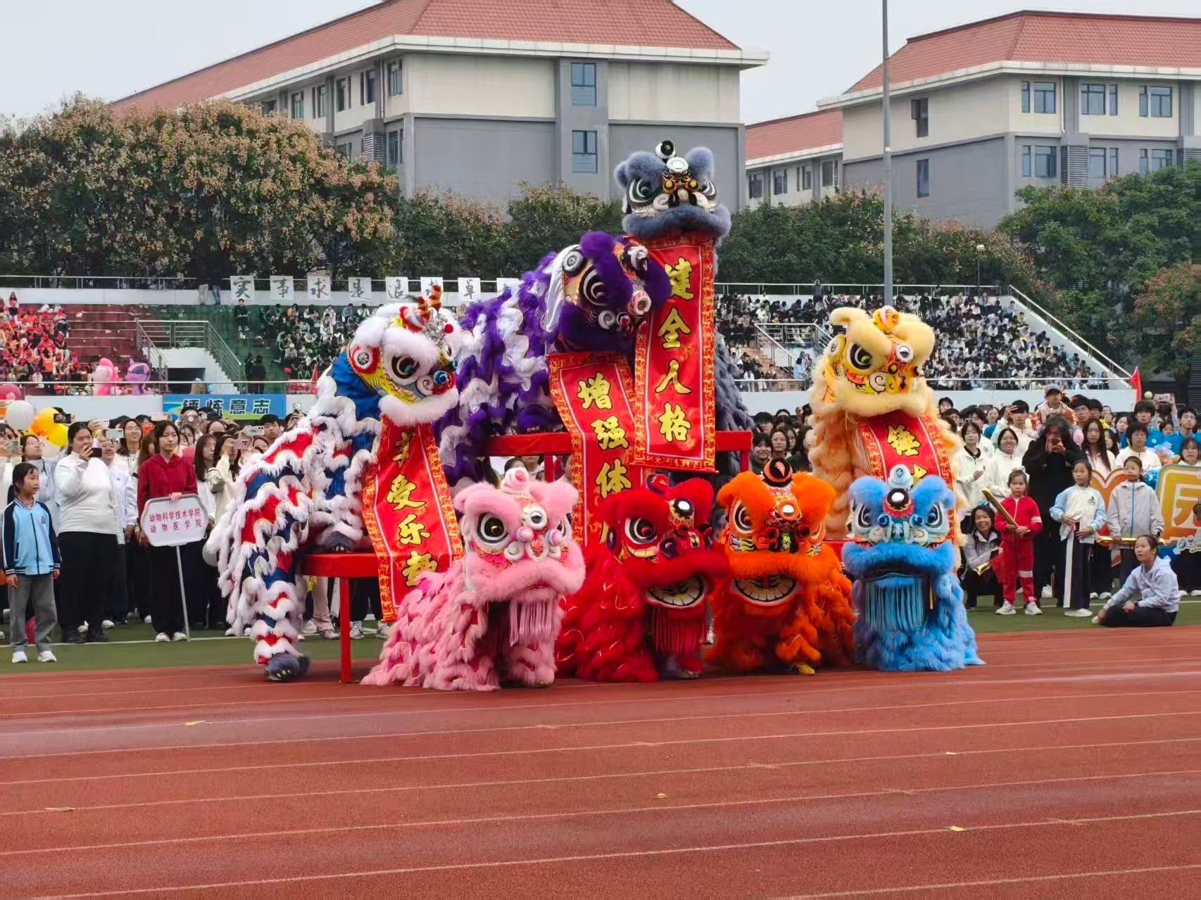 真人娱乐城