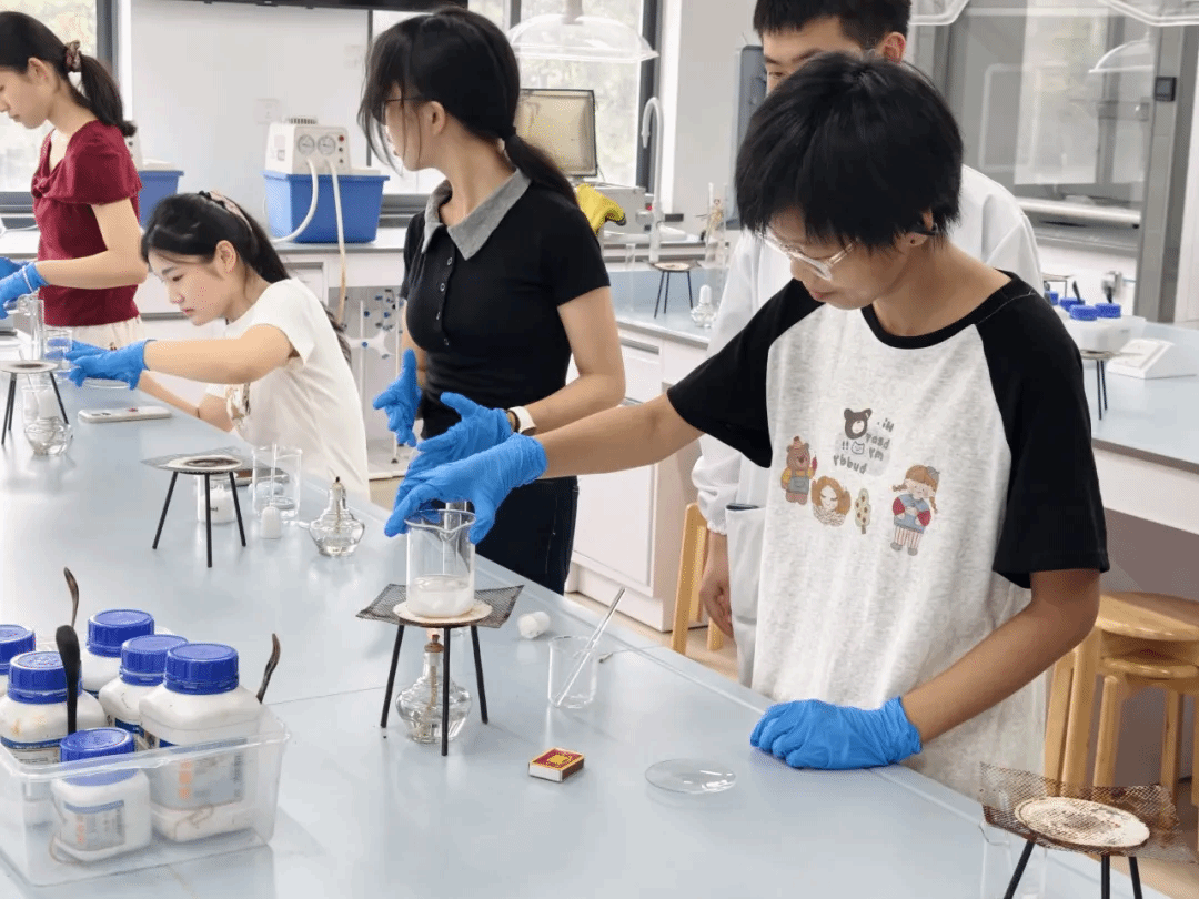 真人娱乐城